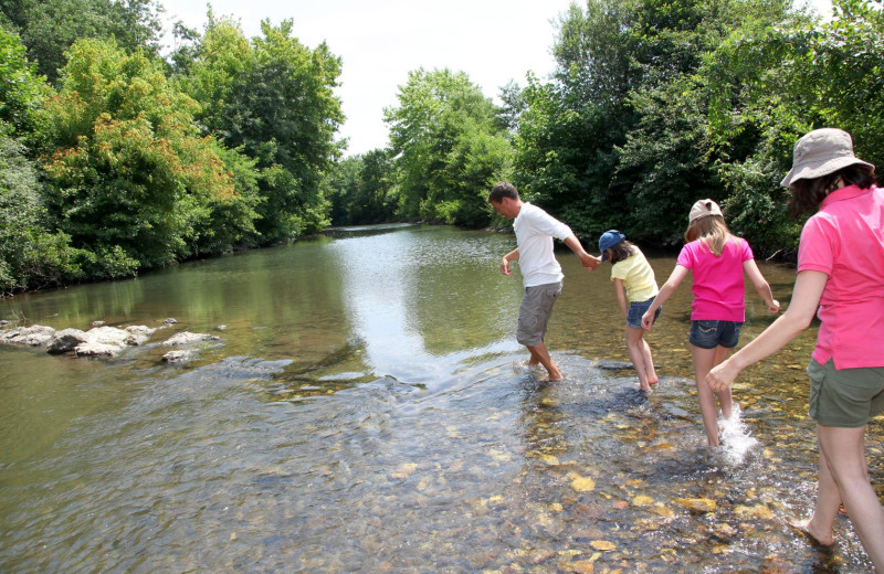 Family crossing stream at Carolina Mornings.