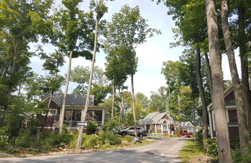 Cottages at Sandbanks Summer Village Cottage Resort.