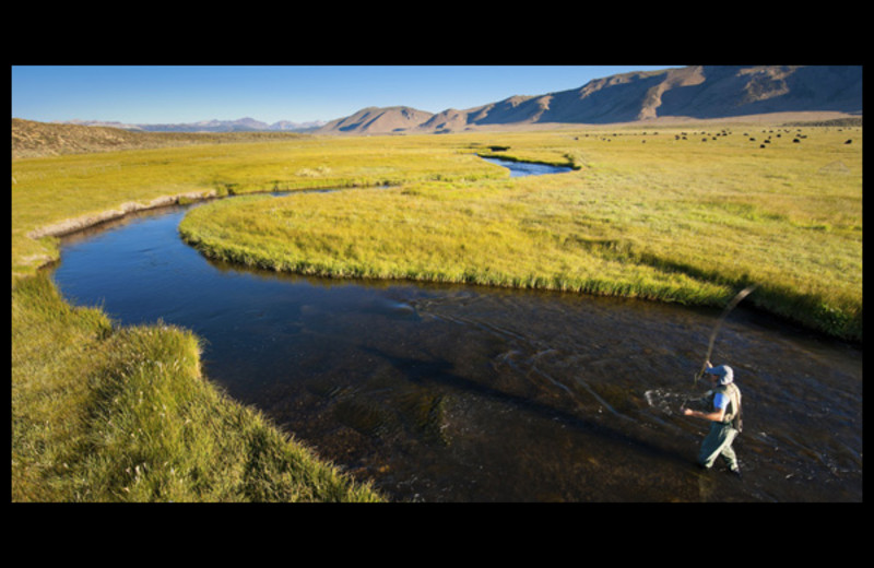 Fishing near Mammoth Front Desk.