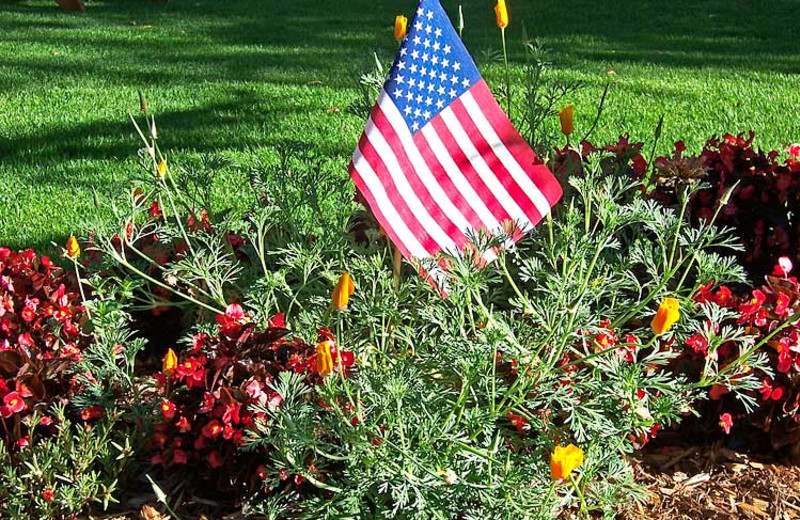 Garden at 4 Seasons Inn.