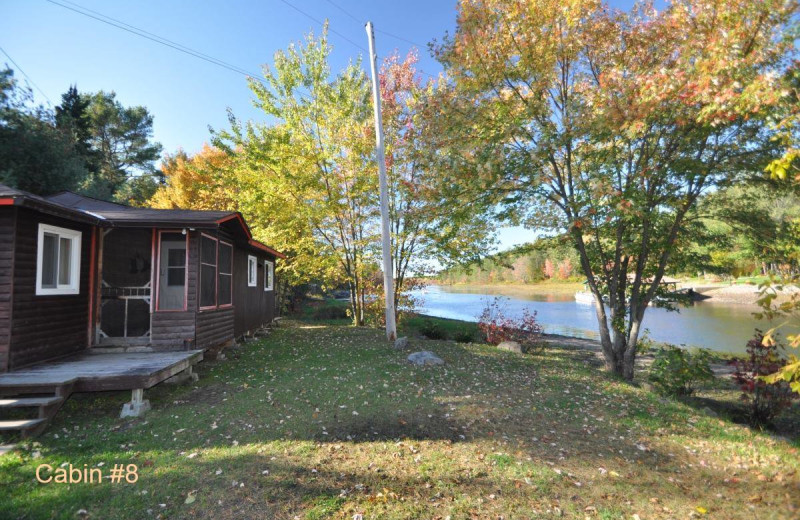 Cabin exterior at Wolseley Lodge.