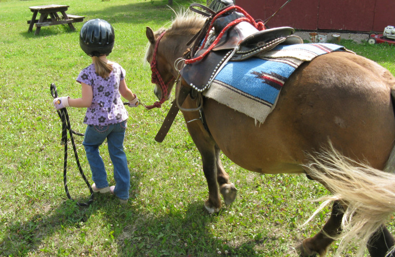 Kid walking horse at Trailhead Ranch.