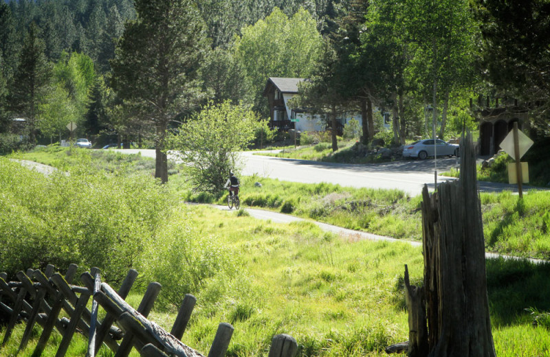 Walking/Cycling Paths in Olympic Valley, California