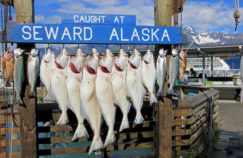 Fishing at Trail Lake Lodge.