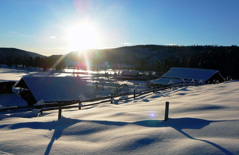Winter time at Vista Verde Ranch.