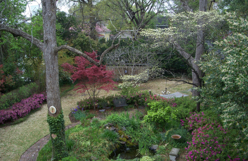 Garden at C.W. Worth House Bed & Breakfast.