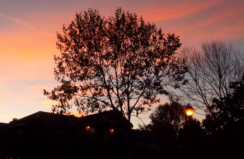 Beautiful sunset at Cambria Pines Lodge.