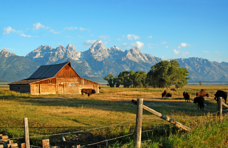Scenic view at Rusty Parrot Lodge.