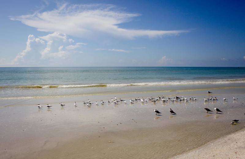 Beach at Casa Ybel Resort.