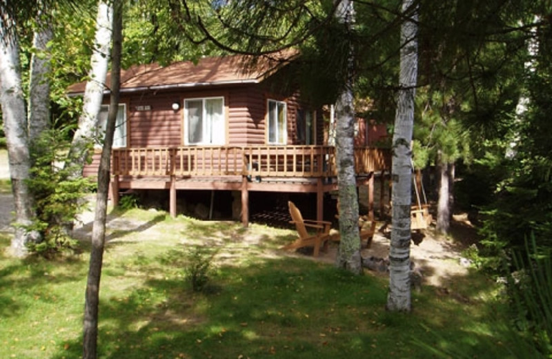 Exterior of cabin at Timber Trail Lodge & Resort.