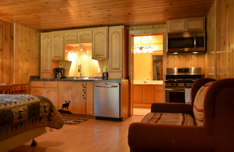 Cabin kitchenette at Shoshone Lodge & Guest Ranch.