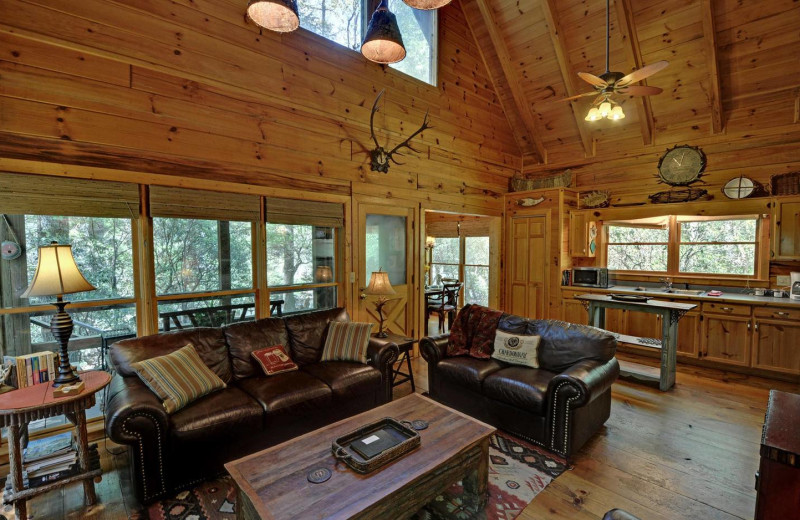 Cabin living room at Sliding Rock Cabins.