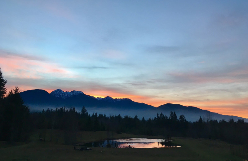 Mountains at Olympic View Cabins.