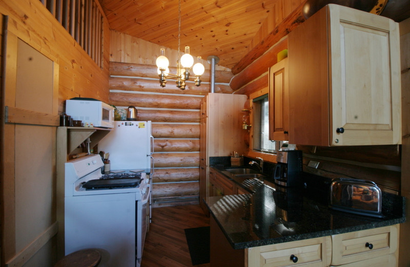 Cabin kitchen at Mt. Baker Lodging.