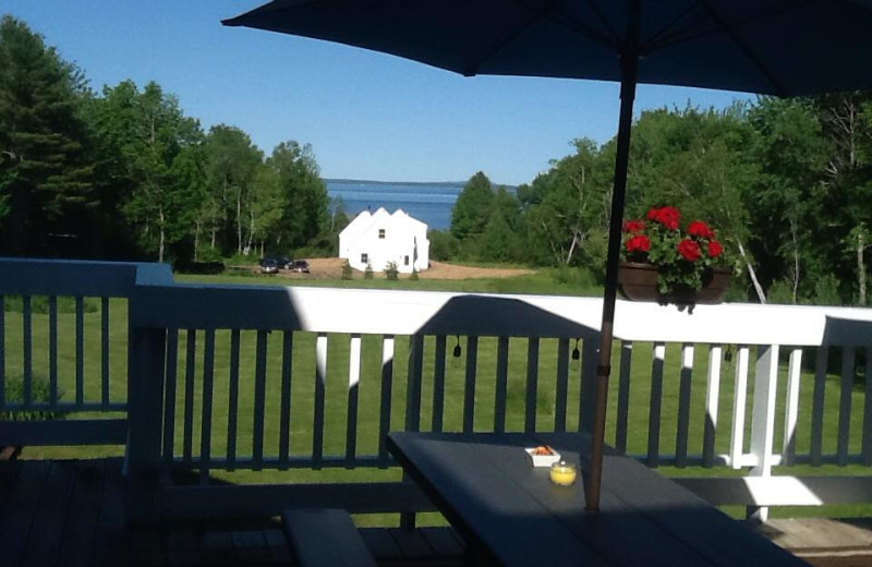 Balcony view at Belfast Breeze Inn.