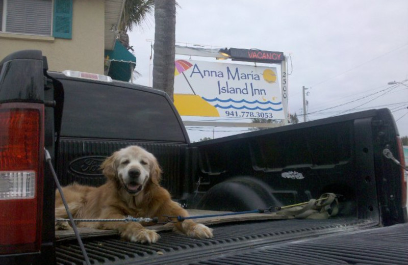 Pet friendly accommodations at Anna Maria Island Inn.