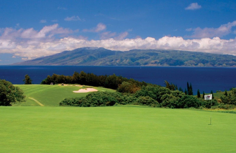 Golf course near Chase 'n Rainbows Real Estate.