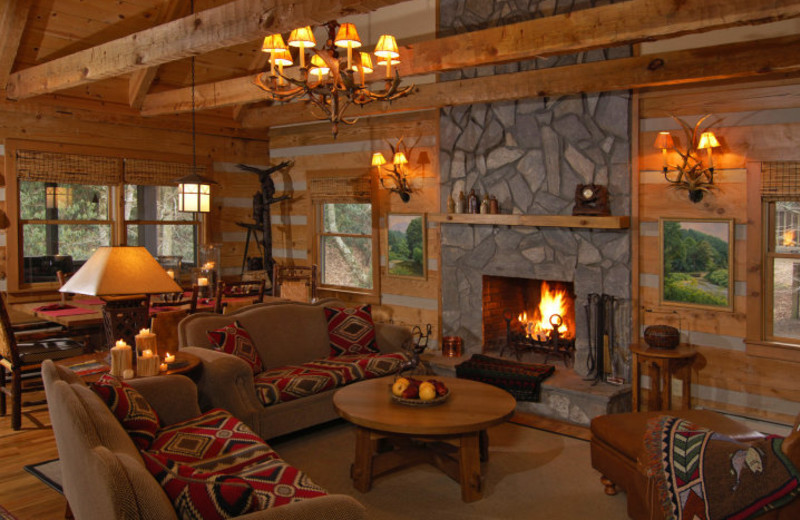 Living room in Cabin at Foscoe Rentals.
