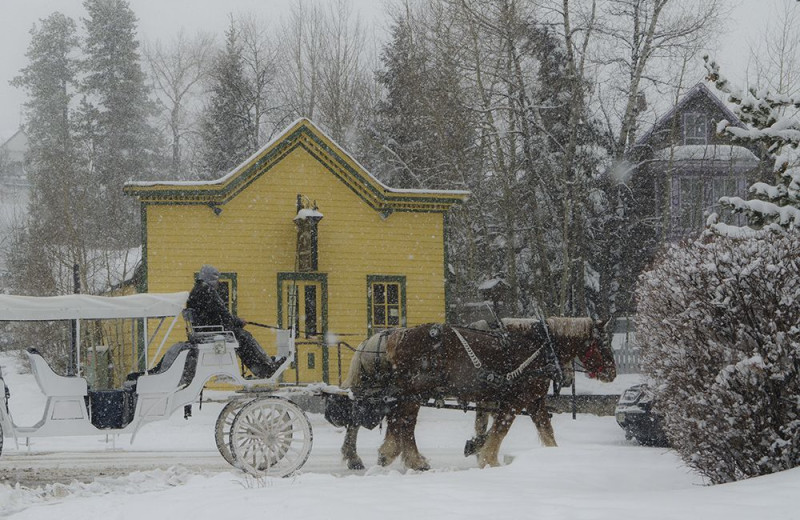 Horse carriage at Grand Lodge on Peak 7.