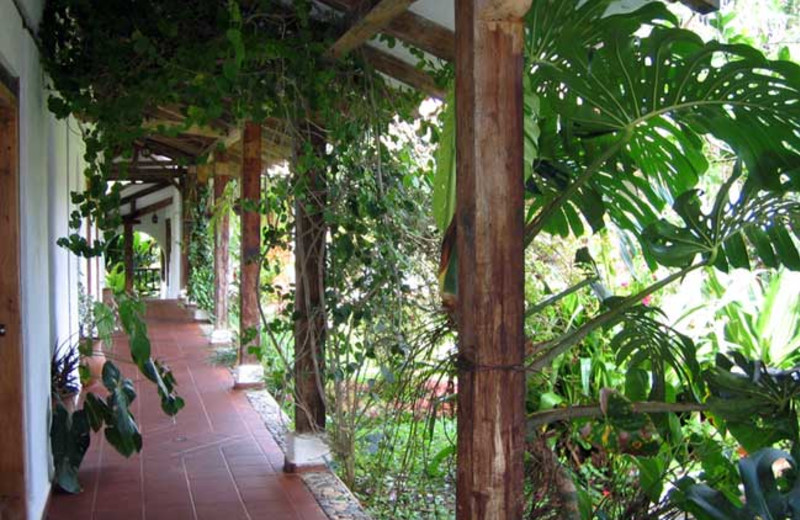 Patio at Hacienda Primavera Wilderness Ecolodge.