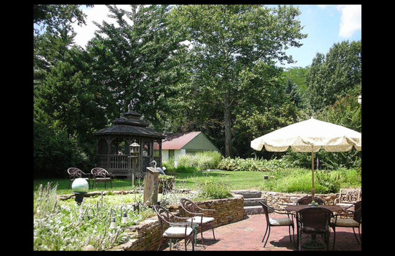 Garden view at Hedgerow Bed & Breakfast.