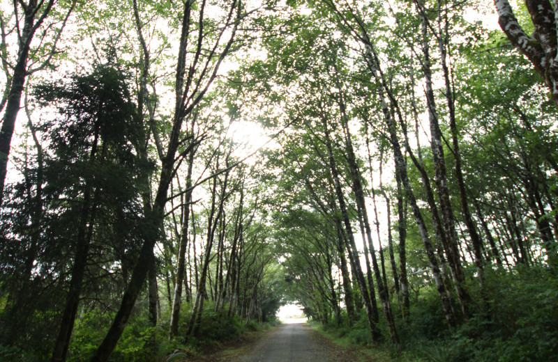 Nature trail at Beachwood Condos & Resort.