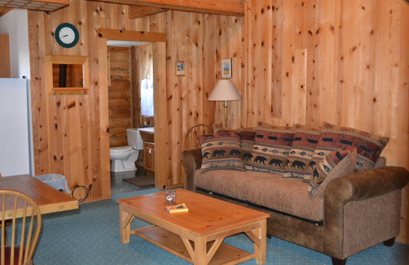 Cabin interior at Snowy Mountain Inn.