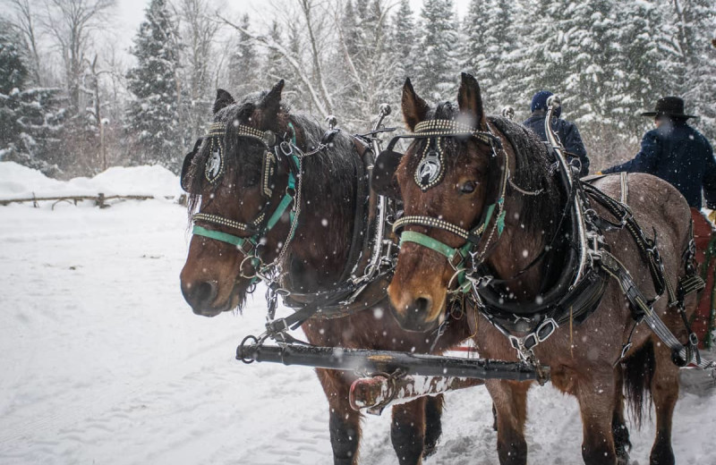 Sleigh ride at Lake Clear Lodge & Retreat.