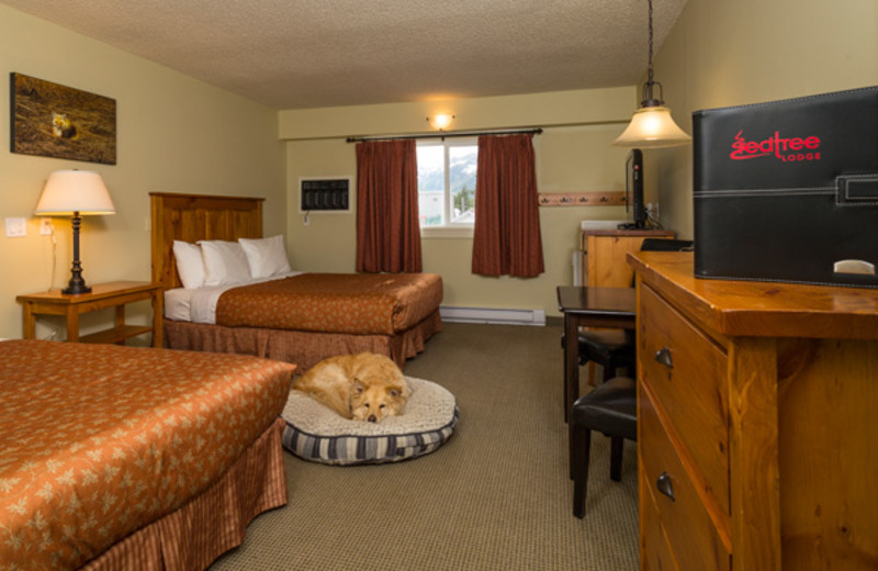 Pet friendly room at Red Tree Lodge.