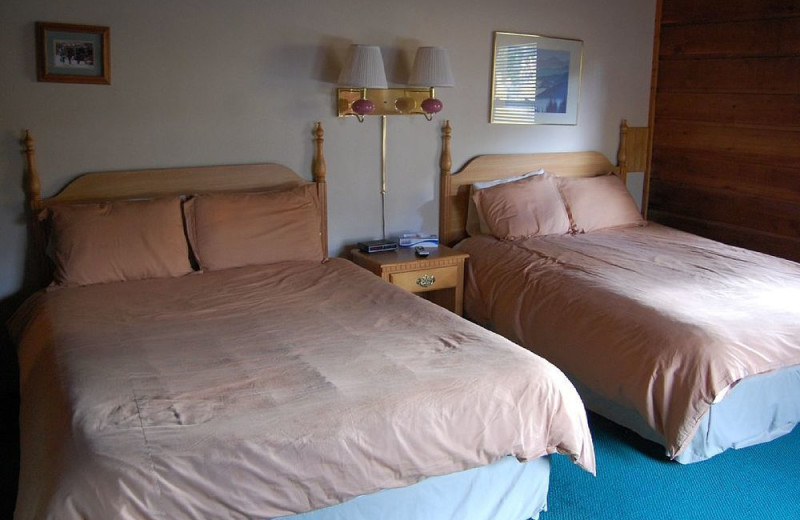 Two bed guest room at Aspen View Lodge.