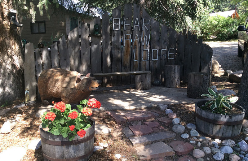 Welcome to Bear Paw Lodge.