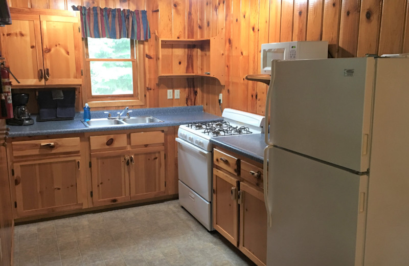 Cabin kitchen at Golden Eagle Lodge.