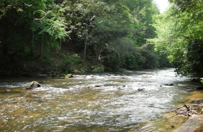 River view at Avenair Mountain Cabins.