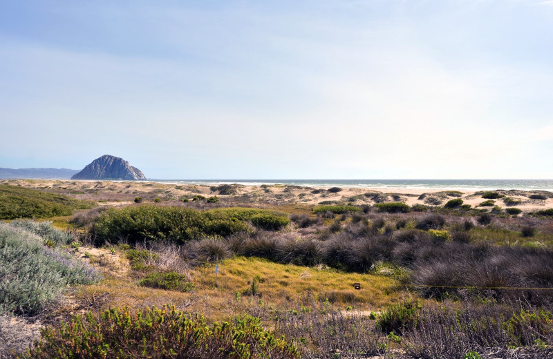 Beach at URelax Vacation Rentals.