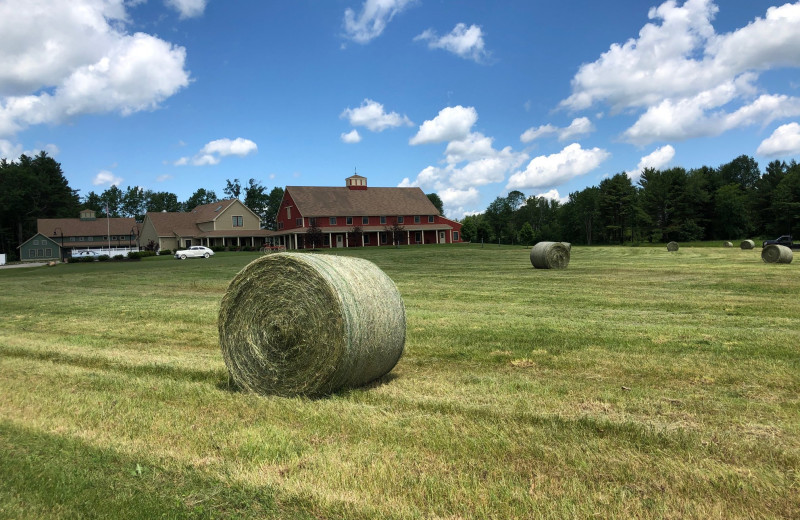 Hay baling at Avaloch Farm.