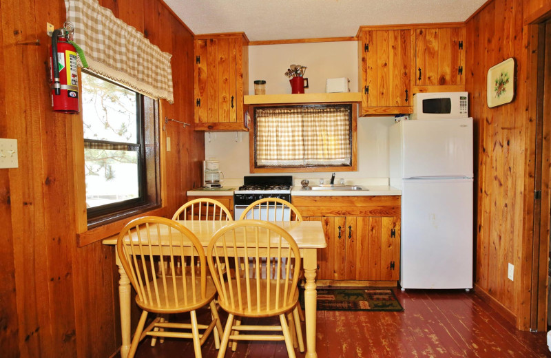 Cabin kitchen at Pine Terrace Resort.