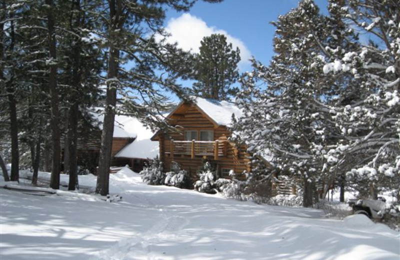 Cabin exterior at Aspen Ridge Resort.