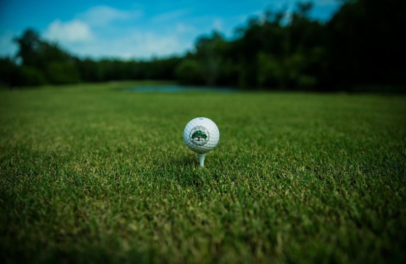 Golf near Oak Haven Resort.