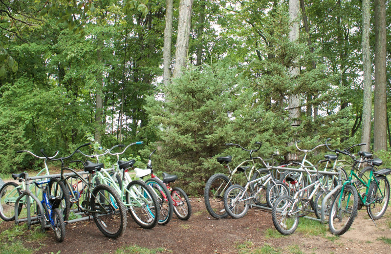 Bikes at White Birch Lodge.