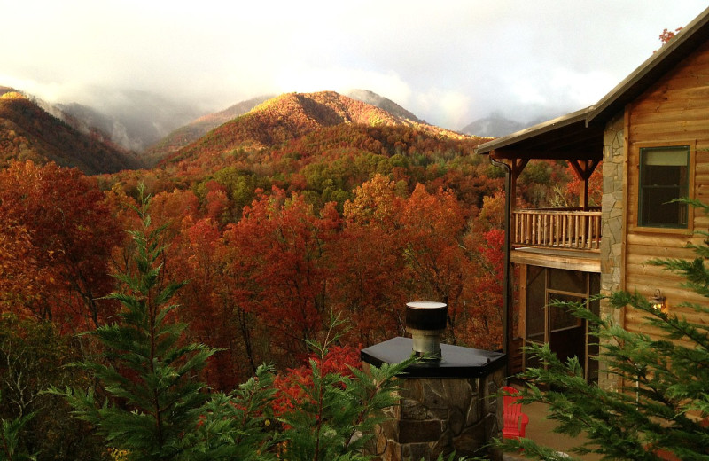 Exterior view of Lands Creek Log Cabins.