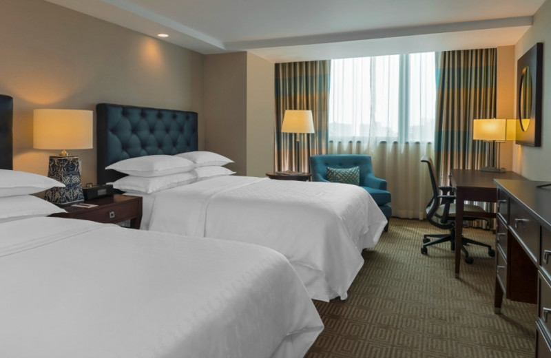 Guest room at Sheraton Maria Isabel Hotel and Towers.