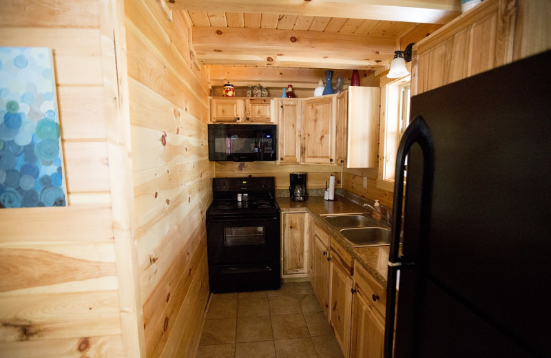 Cabin kitchen at Aspen Ridge.