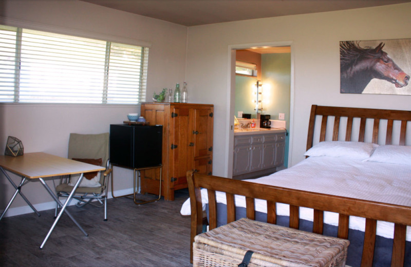 Guest room at Chanslor Guest Ranch.