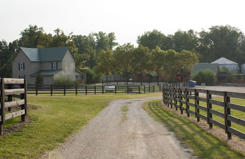 Ranch at Elk Ridge Ranch.