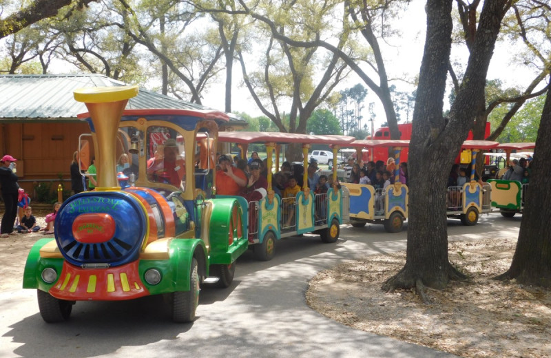 Train at Lone Star Jellystone.