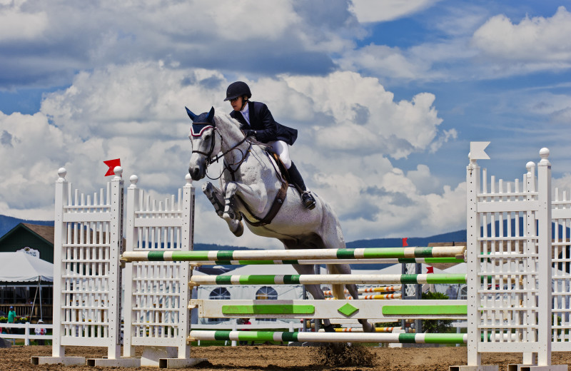 Catch a Lake Placid Horse Show when you stay with Lake Placid Vacation Homes.