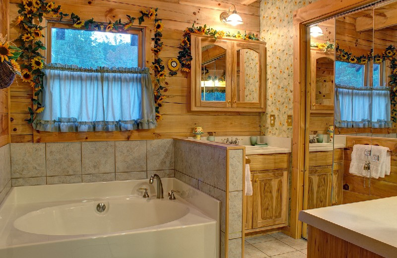 Cabin bathroom at Georgia Mountain Rentals.