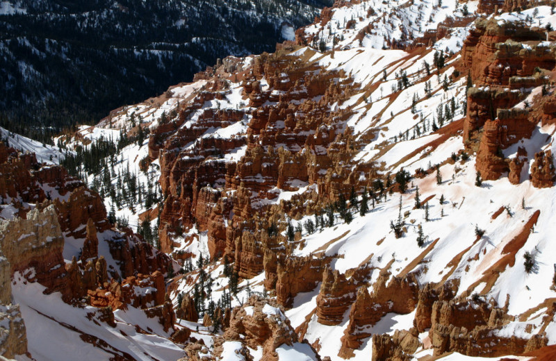 Snow covered canyon near Color Country Motel.