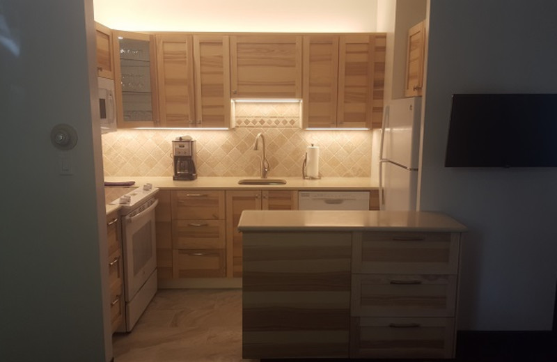 Guest kitchen at St. Moritz Lodge