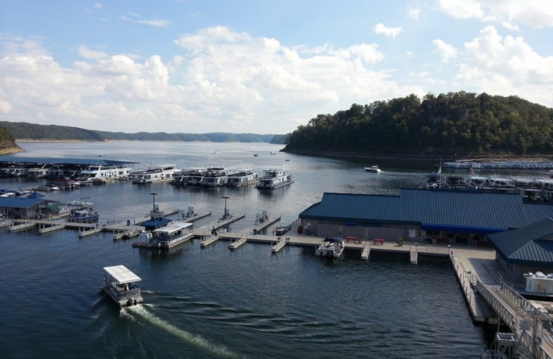 The Marina at Jamestown Resort and Marina.